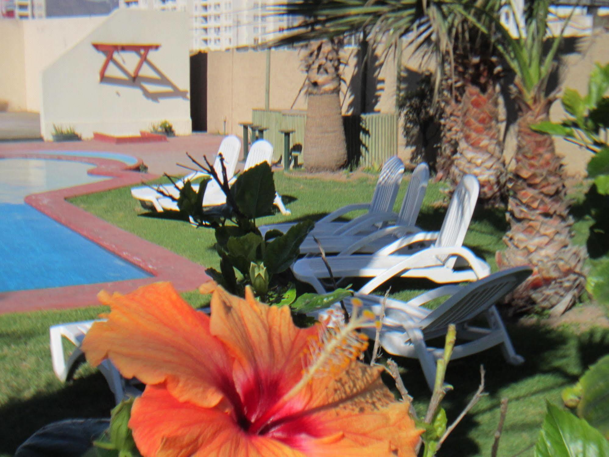 Hotel Canto Del Mar La Serena Eksteriør billede